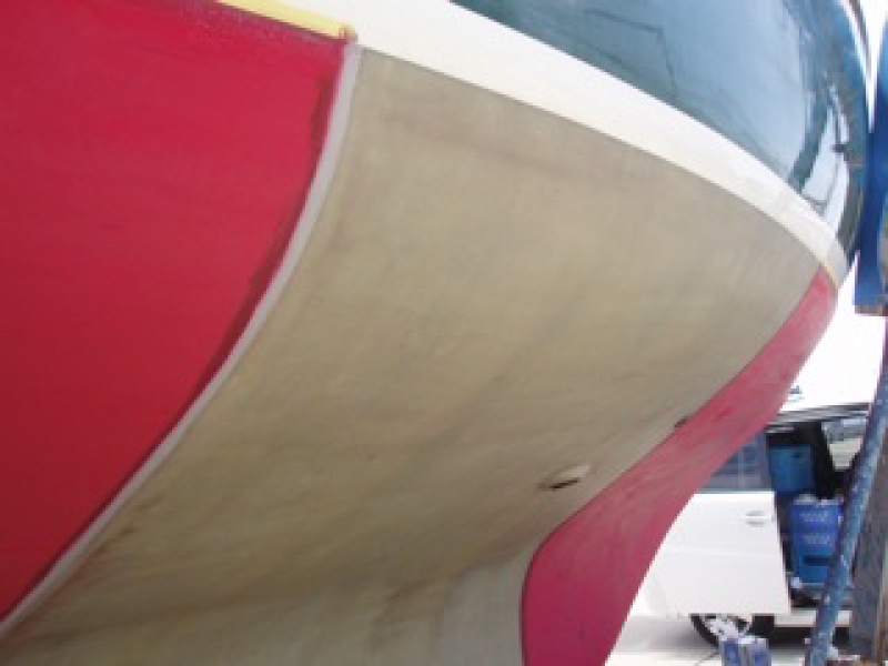 TheTradingCompany アクアストリップ