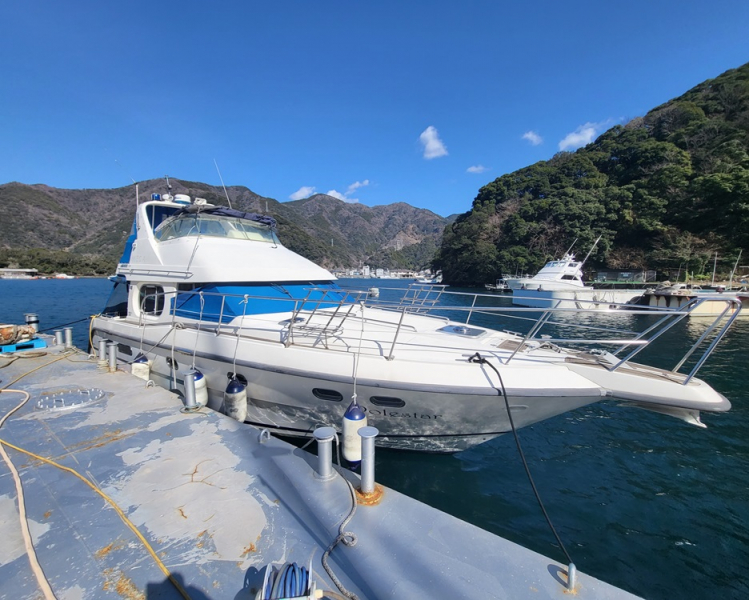 ニンバス 43 MEGA