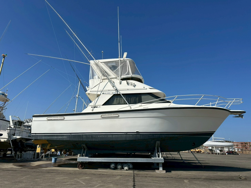 フェニックス 33 