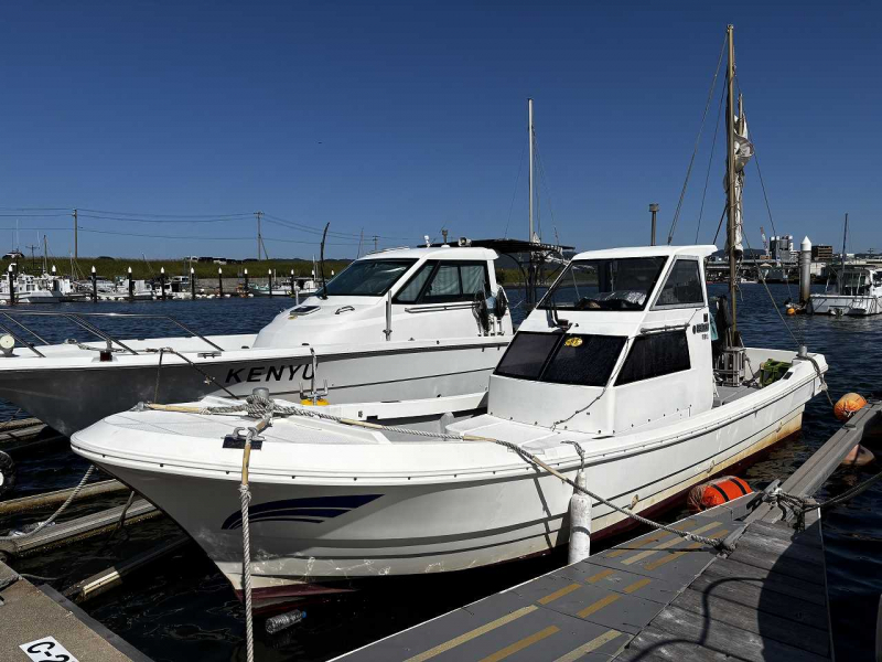 ヤマハ DX-25 釣り舟入門艇です！