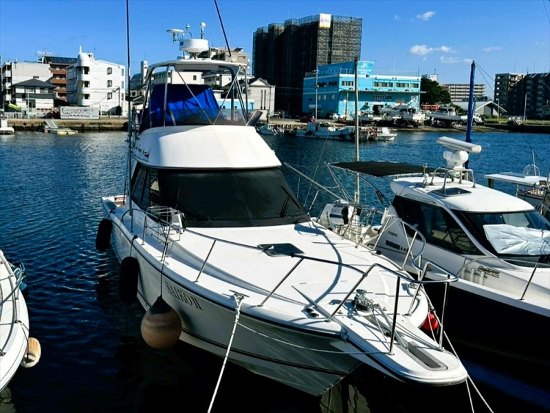 ヤマハ SF-35 EX（ハイパワー）