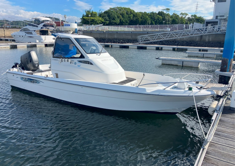 ヤマハ FW-23Cuddy