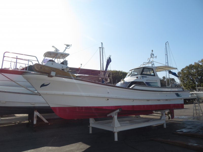 ヤンマー DE31BF 磨き点検完了