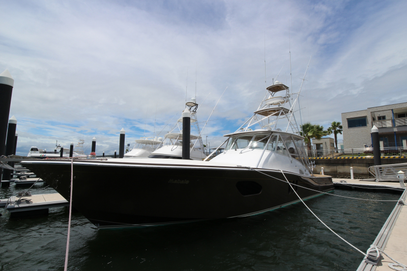 その他メーカー(国内) DIANA60