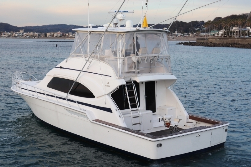 バートラム 510 コンバーチブル