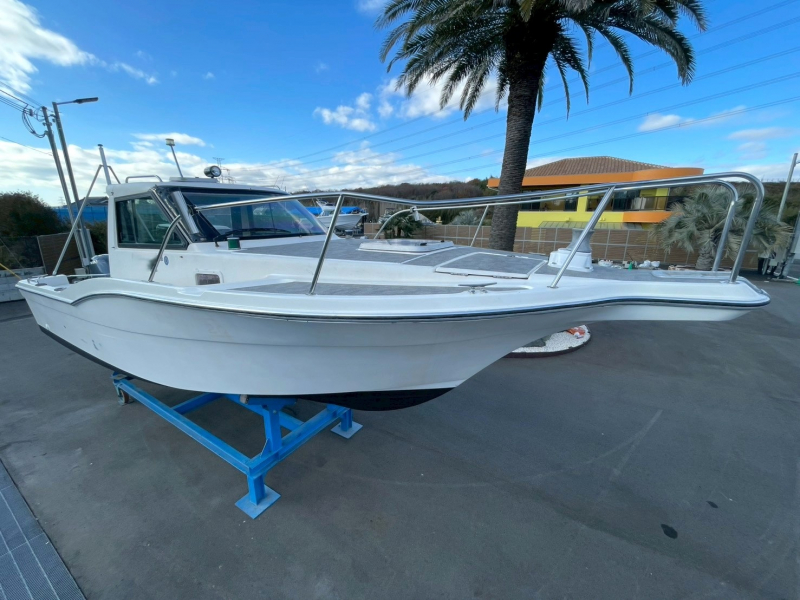 トーハツ ＴＳＣ250 エンジン始動・チルト動作　動画付き