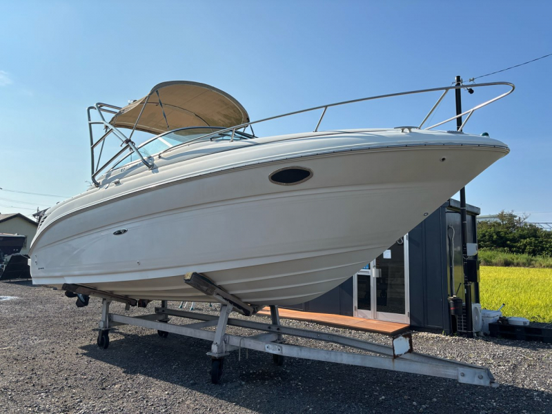 シーレイ 245 ハイパワーエンジン搭載