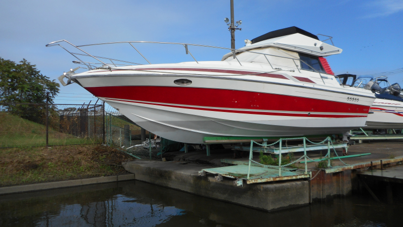 サンシーカー ジャマイカン35 