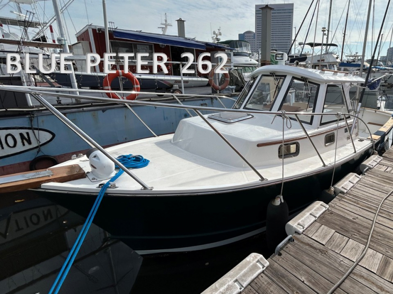 ブルーピーター 262 