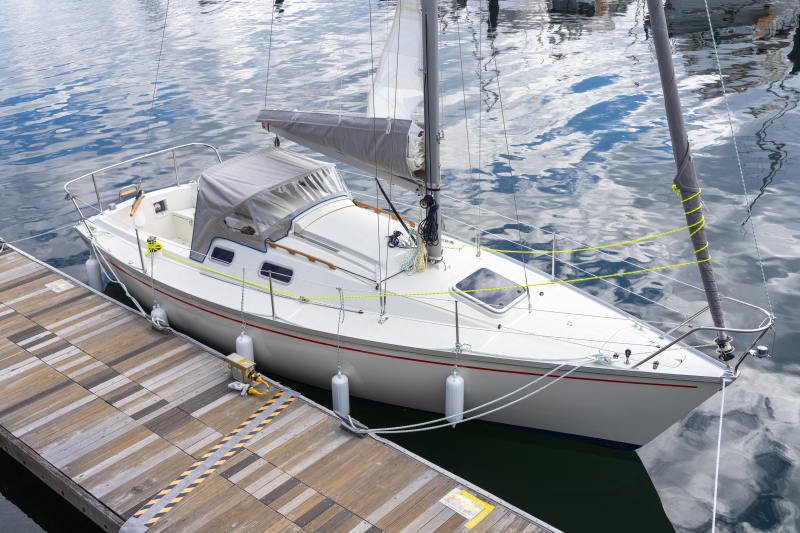 ニュージャパンヨット リベッチオ 