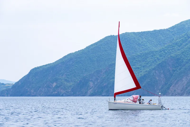 slide image