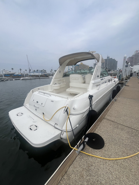 シーレイ 310