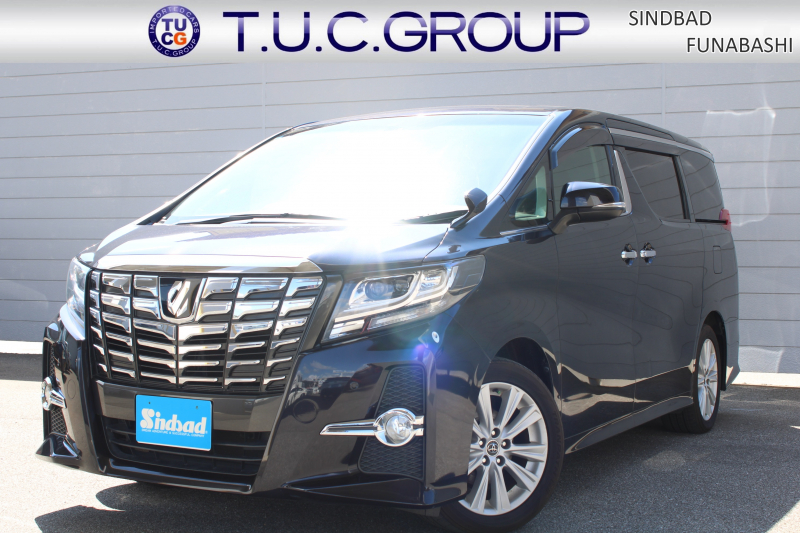 トヨタ アルファード 2.5S Aﾊﾟｯｹｰｼﾞ 7人　専用ｴｱﾛ ｸﾙｰｽﾞｺﾝﾄﾛｰﾙ 型SDﾅﾋﾞ ﾌﾙｾｸﾞ 12.1型ﾘｱﾌﾘｯﾌﾟﾀﾞｳﾝﾓﾆﾀｰ ETC Bｶﾒﾗ ﾄﾞﾗﾚｺ ﾘﾗｯｸｽｷｬﾌﾟﾃﾝｼｰﾄ 両側ﾊﾟﾜｰｽﾗｲﾄﾞﾄﾞｱ 本革巻きｽﾃｱﾘﾝｸﾞ 2眼LEDﾍｯﾄﾞﾗﾝﾌﾟ ﾌｫｸﾞﾗﾝﾌﾟ 18ｲﾝﾁAW 2年保証