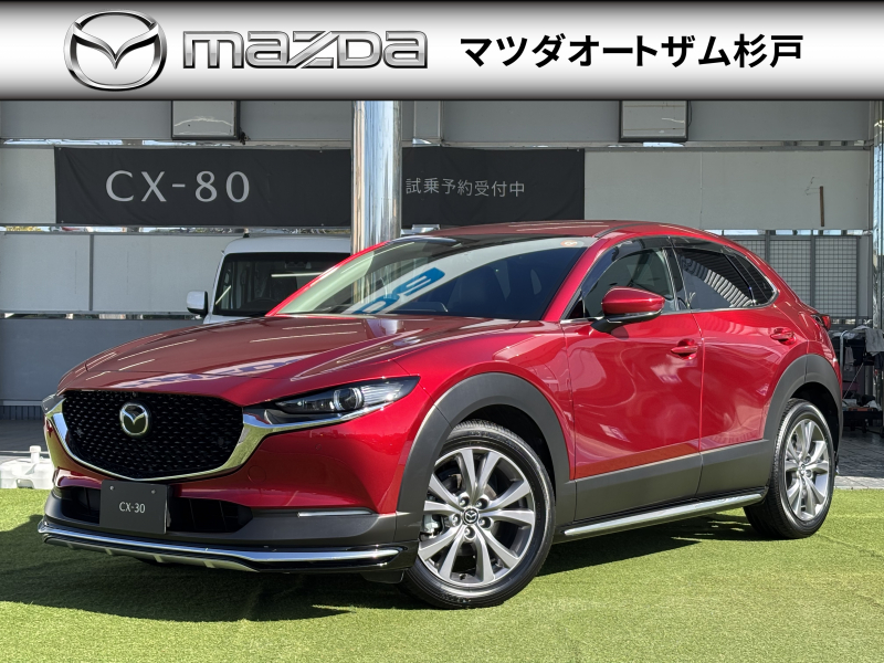 CX-30